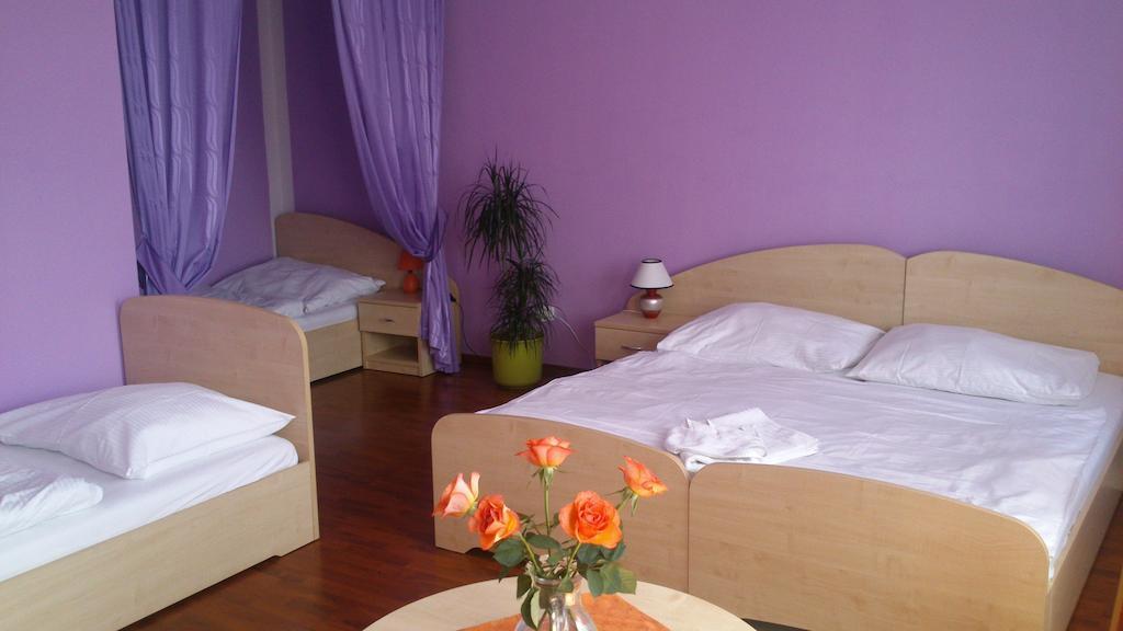 Hotel & Motorest V Udoli Zlateho Potoka Blsany 客房 照片